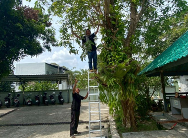 ร่วมกิจกรรมทำความสะอาด Big Cleaning Day (ครั้งที่ 1) พารามิเตอร์รูปภาพ 32