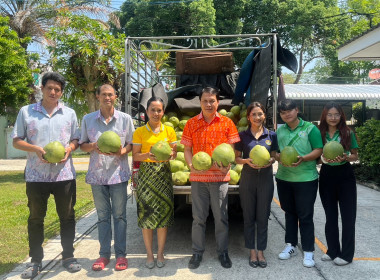 รับมอบส้มโอพันธุ์ขาวใหญ่ จำนวน 1,800 ลูก มูลค่า 135,000 บาท ... พารามิเตอร์รูปภาพ 2