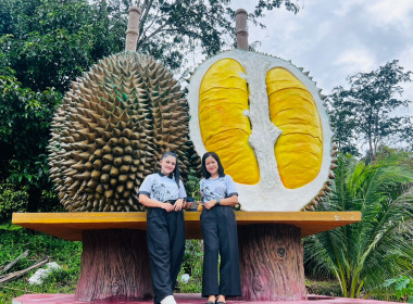 เข้าร่วมเป็นเกียรติในกิจกรรมแสดงสัญลักษณ์การเปิดฤดูกาลเก็บเกี่ยวผลผลิตทุเรียน (ตัดทุเรียนมีดแรก) ... พารามิเตอร์รูปภาพ 6