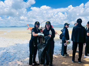 โครงการเก็บขยะและปลูกป่าชายเลน ณ พื้นที่ป่าชายเลน ... พารามิเตอร์รูปภาพ 11