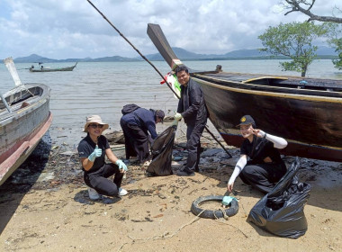 โครงการเก็บขยะและปลูกป่าชายเลน ณ พื้นที่ป่าชายเลน ... พารามิเตอร์รูปภาพ 8