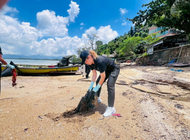 โครงการเก็บขยะและปลูกป่าชายเลน ณ พื้นที่ป่าชายเลน ... พารามิเตอร์รูปภาพ 13