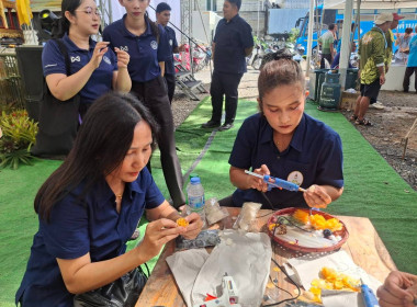 โครงการคลินิกเกษตรเคลื่อนที่ ฯ ครั้งที่ 4/2569 พารามิเตอร์รูปภาพ 20