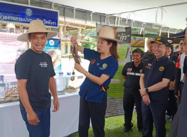 รัฐมนตรีช่วยว่าการกระทรวงเกษตรและสหกรณ์ ... พารามิเตอร์รูปภาพ 22