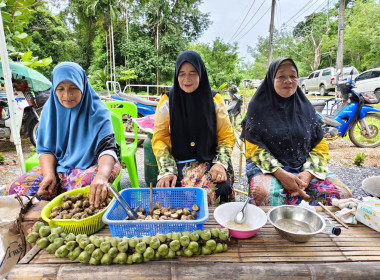 รัฐมนตรีช่วยว่าการกระทรวงเกษตรและสหกรณ์ ... พารามิเตอร์รูปภาพ 19