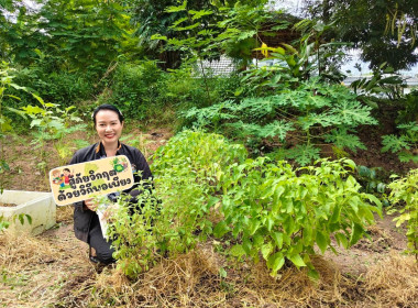 ภูเก็ตน้อมนำแนวพระราชดำริ “บ้านนี้มีรัก ปลูกผักกินเอง” พารามิเตอร์รูปภาพ 4
