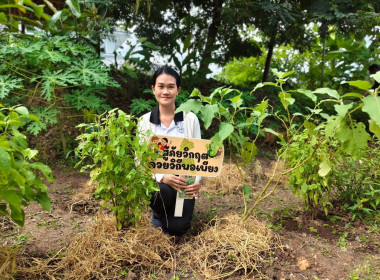 ภูเก็ตน้อมนำแนวพระราชดำริ “บ้านนี้มีรัก ปลูกผักกินเอง” พารามิเตอร์รูปภาพ 9