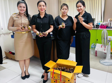 ศูนย์กระจายสินค้าสหกรณ์ (CDC) ของจังหวัดภูเก็ต ... พารามิเตอร์รูปภาพ 4