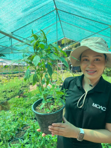 ลงพื้นที่ศูนย์สัมมาชีพต้นแบบตามหลักปรัชญาของเศรษฐกิจพอเพียง ... พารามิเตอร์รูปภาพ 1