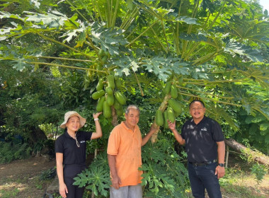ลงพื้นที่ศูนย์สัมมาชีพต้นแบบตามหลักปรัชญาของเศรษฐกิจพอเพียง ... พารามิเตอร์รูปภาพ 1
