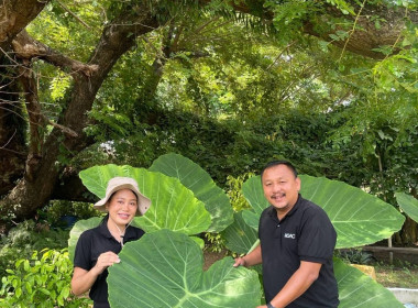 ลงพื้นที่ศูนย์สัมมาชีพต้นแบบตามหลักปรัชญาของเศรษฐกิจพอเพียง ... พารามิเตอร์รูปภาพ 3