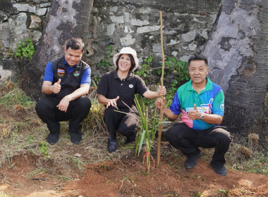 ร่วมกิจกรรมประชาสัมพันธ์การดูแล รักษาต้นตาลโตนด ... พารามิเตอร์รูปภาพ 5
