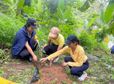 เข้าร่วมโครงการปลูกทุเรียนบนเกาะภูเก็ต ปี 2566 ณ ... พารามิเตอร์รูปภาพ 4