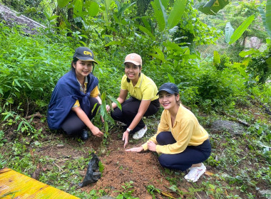 เข้าร่วมโครงการปลูกทุเรียนบนเกาะภูเก็ต ปี 2566 ณ ... พารามิเตอร์รูปภาพ 5