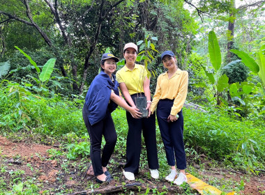 เข้าร่วมโครงการปลูกทุเรียนบนเกาะภูเก็ต ปี 2566 ณ ... พารามิเตอร์รูปภาพ 6