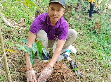 ร่วมโครงการปลูกทุเรียนบนเกาะภูเก็ต ปี 2566 ณ พื้นที่เกษตรกร ... พารามิเตอร์รูปภาพ 4