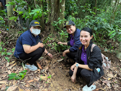 ร่วมโครงการปลูกทุเรียนบนเกาะภูเก็ต ปี 2566 ณ ป่าชุมชน ... พารามิเตอร์รูปภาพ 1