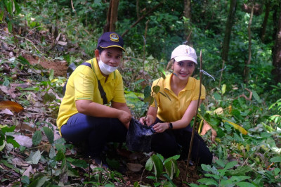 เข้าร่วมโครงการปลูกทุเรียนบนเกาะภูเก็ต ปี 2566 ณ ... พารามิเตอร์รูปภาพ 1