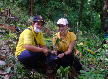 เข้าร่วมโครงการปลูกทุเรียนบนเกาะภูเก็ต ปี 2566 ณ ... พารามิเตอร์รูปภาพ 4