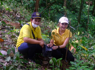 เข้าร่วมโครงการปลูกทุเรียนบนเกาะภูเก็ต ปี 2566 ณ ... พารามิเตอร์รูปภาพ 5