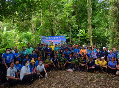 เข้าร่วมโครงการปลูกทุเรียนบนเกาะภูเก็ต ปี 2566 ณ ... พารามิเตอร์รูปภาพ 2