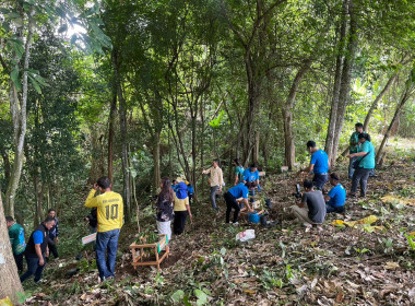 เข้าร่วมโครงการปลูกทุเรียนบนเกาะภูเก็ต ปี 2566 ณ ... พารามิเตอร์รูปภาพ 7