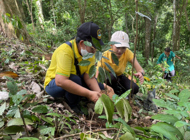 เข้าร่วมโครงการปลูกทุเรียนบนเกาะภูเก็ต ปี 2566 ณ ... พารามิเตอร์รูปภาพ 8