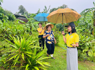 ลงพื้นที่ตรวจเยี่ยมติดตามเกษตรกรโครงการนำลูกหลานเกษตรกรกลับบ้าน สานต่ออาชีพการเกษตร ในพื้นที่ตำบลราไวย์ อำเภอเมือง จังหวัดภูเก็ต ... พารามิเตอร์รูปภาพ 4