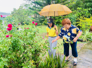 ลงพื้นที่ตรวจเยี่ยมติดตามเกษตรกรโครงการนำลูกหลานเกษตรกรกลับบ้าน สานต่ออาชีพการเกษตร ในพื้นที่ตำบลราไวย์ อำเภอเมือง จังหวัดภูเก็ต ... พารามิเตอร์รูปภาพ 2