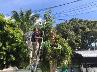 จัดกิจกรรมวันทำความสะอาด (Big Cleaning Day) ครั้งที่ 1/2567 ... พารามิเตอร์รูปภาพ 2