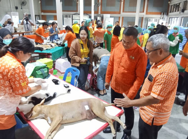 เข้าร่วมพิธีเปิดโครงการปศุสัตว์ร่วมใจกำจัดภัยโรคพิษสุนัขบ้าเพื่อเฉลิมพระเกียรติศาสตราจารย์ ดร. สมเด็จพระเจ้าน้องนางเธอ เจ้าฟ้าจุฬาภรณวลัยลักษณ์ อัครราชกุมารี กรมพระศรีสวางควัฒน วรขัตติยราชนารี ... พารามิเตอร์รูปภาพ 3