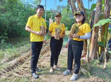 ร่วมโครงการรณรงค์และส่งเสริมการปลูกหญ้าแฝกเฉลิมพระเกียรติพระบาทสมเด็จพระเจ้าอยู่หัว เนื่องในโอกาสมหามงคลเฉลิมพระชนมพรรษา 6 รอบ 28 กรกฎาคม 2567 ... พารามิเตอร์รูปภาพ 3