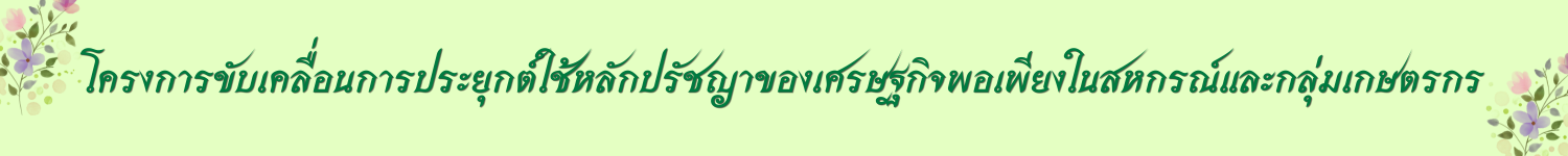ปุ่มพอเพียง